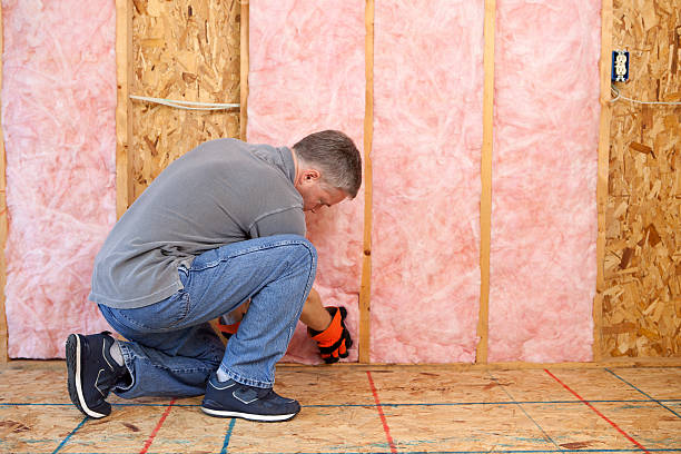 Best Fireproof Insulation  in Virginia, IL