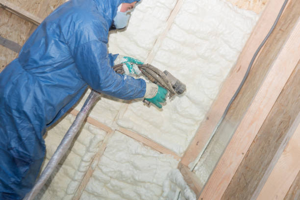 Best Thermal Imaging for Insulation Gaps  in Virginia, IL